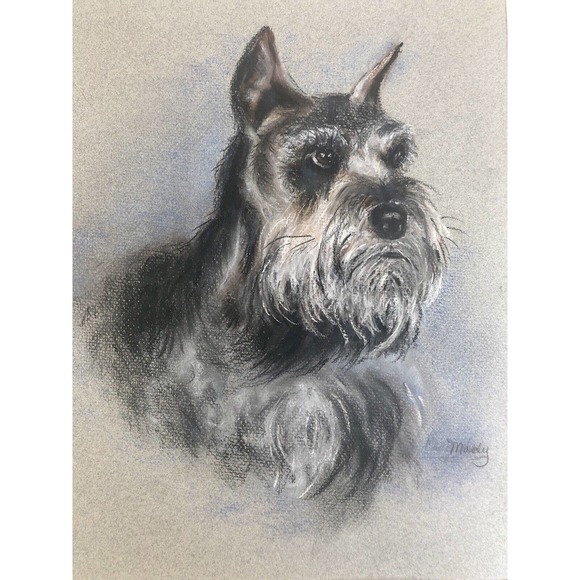 Vintage Pastel Drawing Schnauzer Gray Dog Original Art - Picture 1 of 8